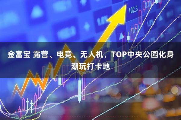 金富宝 露营、电竞、无人机，TOP中央公园化身潮玩打卡地