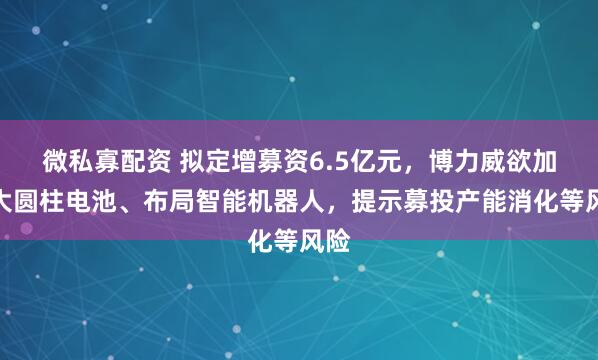 微私寡配资 拟定增募资6.5亿元，博力威欲加码大圆柱电池、布局智能机器人，提示募投产能消化等风险