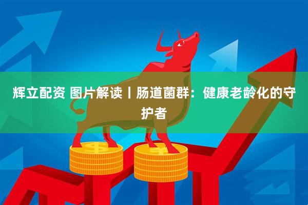 辉立配资 图片解读丨肠道菌群：健康老龄化的守护者